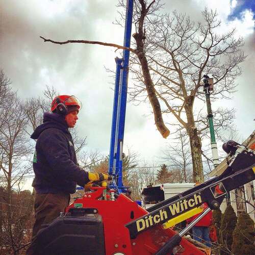 Worker in helmet and ear protection operating a red Ditch Witch mini loader, a cut tree limb suspended overhead, second worker visible in a bucket lift near a house in the background.