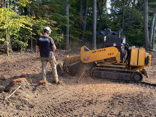 Worker in a Kent Tree branded shirt operating a large SP7015 TRX stump grinder, wood chips actively flying, fresh-cut orange-marked stump in the foreground, wooded lot.