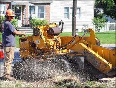 Worker in an orange helmet operating a Carlton stump grinder at a street/sidewalk edge, active debris spray, white picket fence and brick house in background.