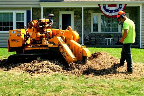 Worker in a high-visibility yellow shirt and orange helmet operating a Carlton stump grinder near a stone-front house with American flag bunting, fresh mulch mound.